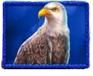 Eagle symbol