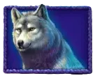 Wolf symbol